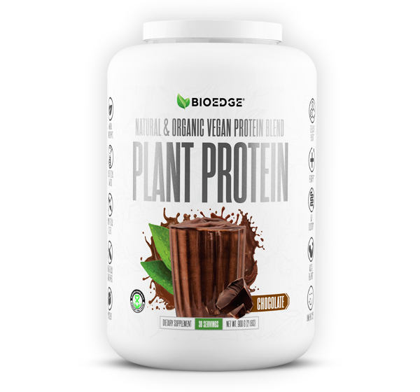 FOUNDATION STACK WITH PLANT PROTEIN